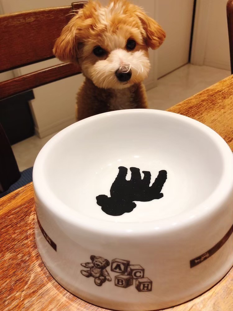 ファミーユ･キューミュラス　ポーセラーツ