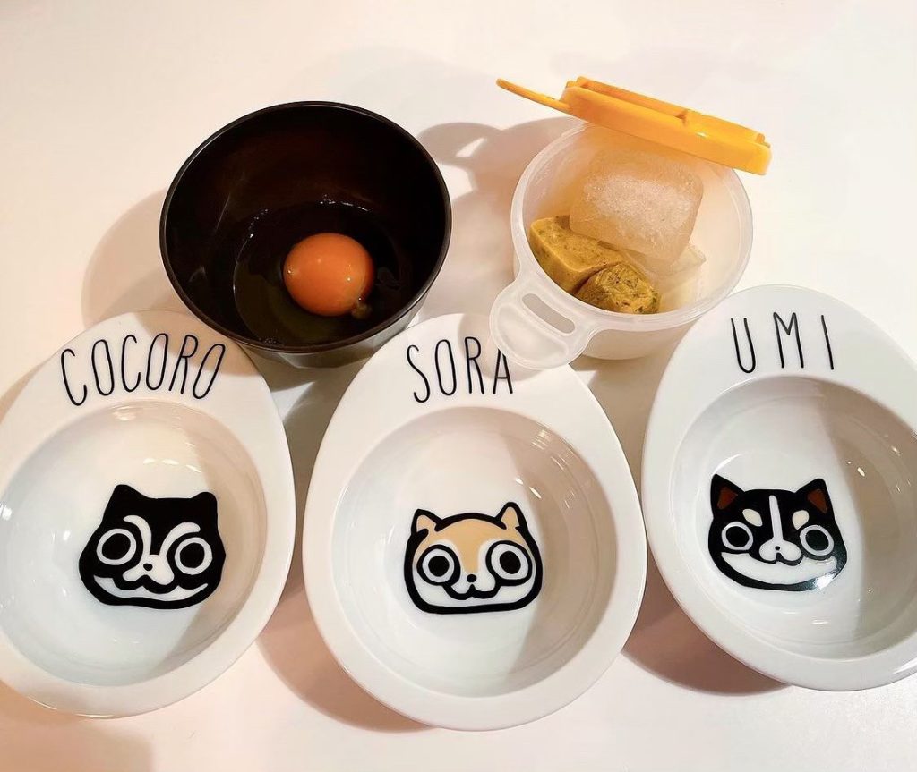 餌入れ フードボウル